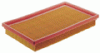 Main Filter