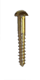 Brass R/head Screws 25mm x 8g x 20