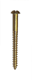 Brass R/head Screws 45mm x 8g x 20