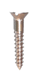 Sil Bronze Screws C/s 19mm x 6g x 20