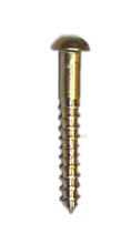 Brass R/head Screws 19mm x 3g x 20